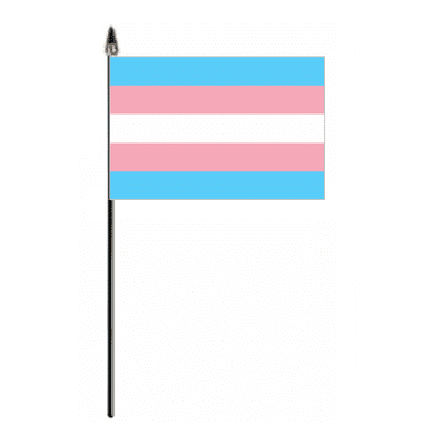 Transgender Pride (pink/blue) Hand Flag - Small