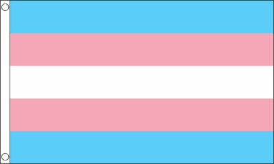Transgender Pride (pink/blue) Large Flag - 3' x 2'