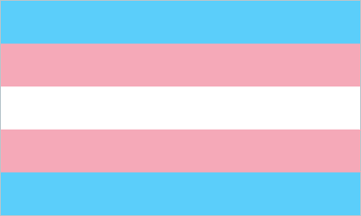 Transgender Pride (pink/blue) Large Flag - 5' x 3'