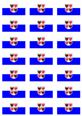 Trentino-Alto Adige Flag Stickers - 21 per sheet