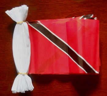 Trinidad and Tobago Bunting, rectangular, 9 metre.