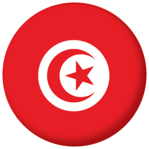 Tunisia Country Flag 25mm Flat Back