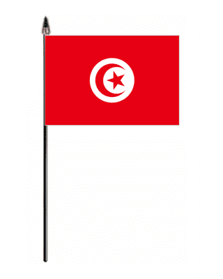 Tunisia Country Hand Flag - Small.