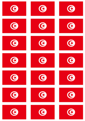 Tunisia Flag Stickers - 21 per sheet