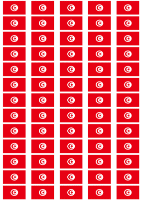 Tunisia Flag Stickers - 65 per sheet