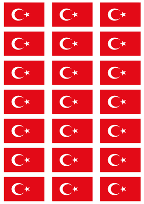 Turkey Flag Stickers - 21 per sheet