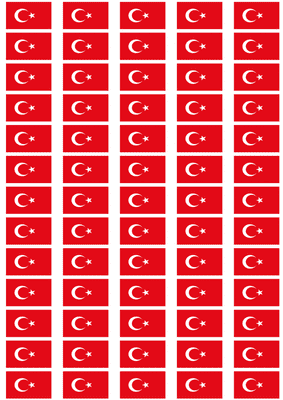 Turkey Flag Stickers - 65 per sheet