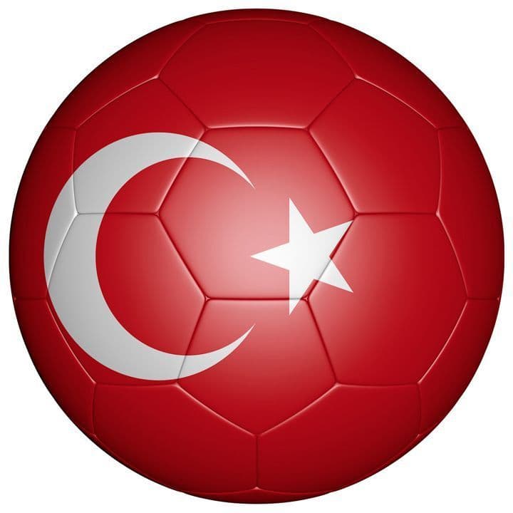 Premium Vector | Turkey Flag Labels Badges And Stickers Illustration Flags Turkey Isolated 75010 1088
