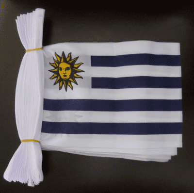Uruguay Bunting, rectangular, 9 metre.