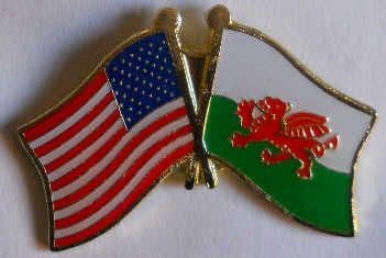USA and Wales Friendship Flag Pin Badge