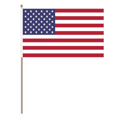USA Country Hand Flag - Large.