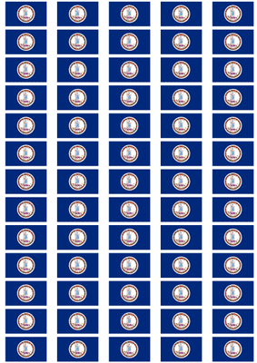 Virginia Flag Stickers - 65 per sheet