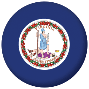 Virginia State Flag 25mm Pin Button Badge