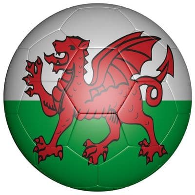 Wales Football Flag 58mm Fridge Magnet