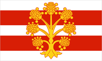 Westmorland Large County Flag - 5' x 3'