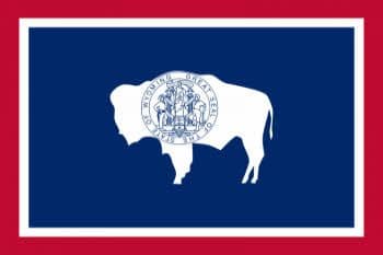 Wyoming State Large Flag - 5' x 3'.