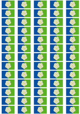 Yorkshire East Riding Flag Stickers - 65 per sheet
