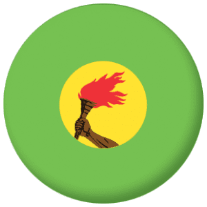 Zaire Country Flag 25mm Flat Back