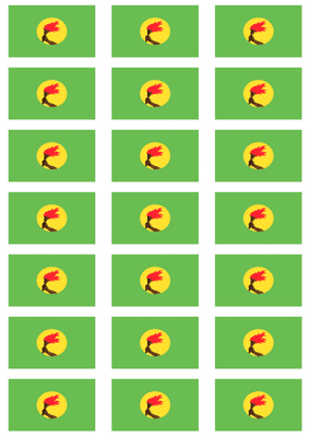 Zaire Flag Stickers - 21 per sheet