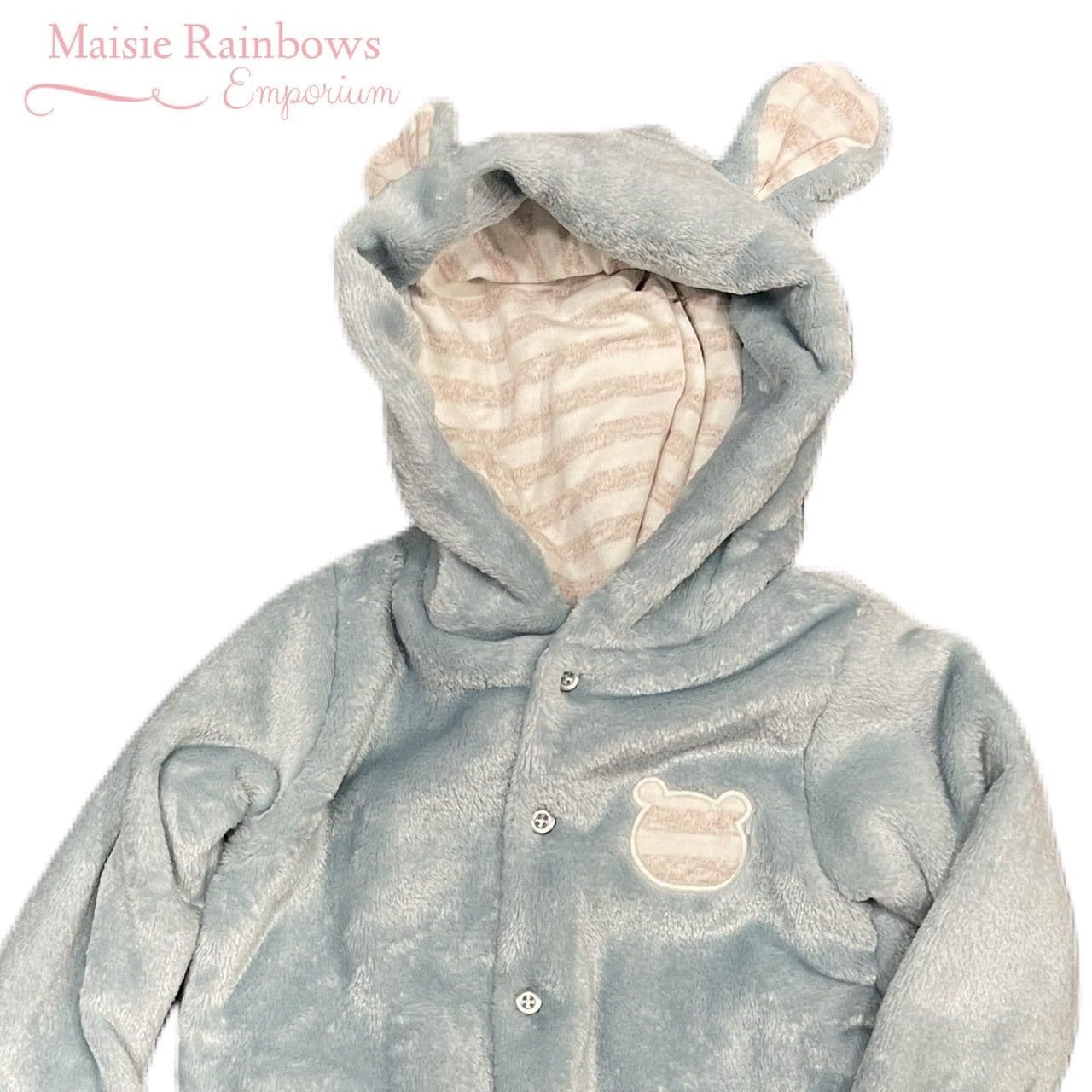 Baby Boys Blue Teddy Snowsuit