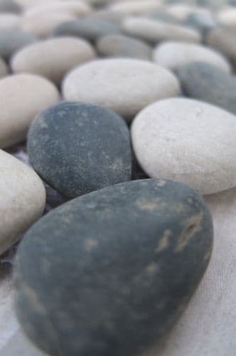 1m2 Beige & Black River Stone Pebble Tiles on Mesh
