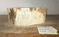 Aesthetic Petrified Wood Bathroom Wash Basin approx 38cm x  37cm x 15 cm (MF.25.08.001)