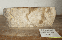 Affluent Petrified Wood Sink approx 46 cm x  32 cm  x 16 cm (Sink F.25.08.008)