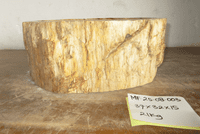 Ancient Petrified Wood Wash basin approx 37 cm x  32 cm x 15 cm (MF.25.08.003)