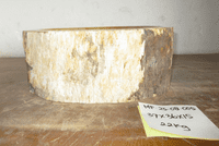 Astounding Petrified Wood Bathroom Wash Basin approx 38cm x  32cm x 15 cm (MF.25.08.005)