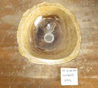 Astounding Petrified Wood Bathroom Wash Basin approx 38cm x  32cm x 15 cm (MF.25.08.005)