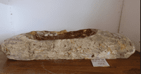 Bewitching Petrified Wood Wash basin approx  104 cm x  43 cm x  19 cm (LF.20.06.001)