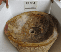 Breathtaking Petrified ( Fossilised) Wood Pedestal Sink (PF.034) @ approx W:51cm x D:44cm x H:90 cm