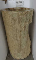 Breathtaking Petrified ( Fossilised) Wood Pedestal Sink (PF.034) @ approx W:51cm x D:44cm x H:90 cm