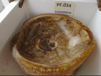 Breathtaking Petrified ( Fossilised) Wood Pedestal Sink (PF.034) @ approx W:51cm x D:44cm x H:90 cm