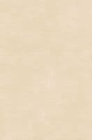 Cotswold  Street Sandstone Porcelain DOUBLE Bullnose coping   900 x 300 x 20 mm