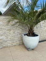 Cream Quartz Split Tiles for the Natural 3D effect on Walls Fire Surrounds & Hearths UK