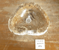 Desirable Petrified Wood Sink approx 45 cm x  35 cm  x 14 cm (Sink F.25.08.010)