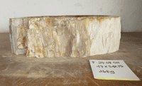 Exceptional Petrified Wood Sink approx 47 cm x  34 cm  x 15 cm (Sink F.25.08.011)