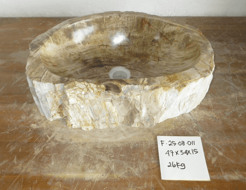 Exceptional Petrified Wood Sink approx 47 cm x 34 cm x 15 cm (Sink F.25.08.011)