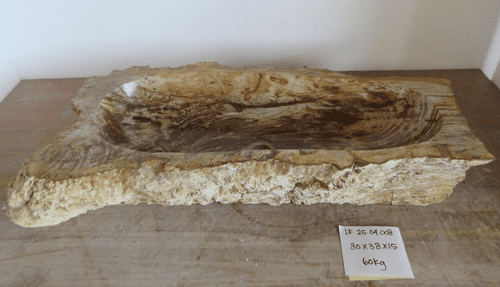 Extraordinary Petrified Wood wash basin approx  80cm x  38cm x  15cm (LF.25.04.008)