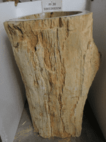 Impressive Petrified ( Fossilised) Wood Pedestal Sink (PF.030) @ approx W:59cm x D:53cm x H:92cm