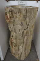 Impressive Petrified ( Fossilised) Wood Pedestal Sink (PF.030) @ approx W:59cm x D:53cm x H:92cm