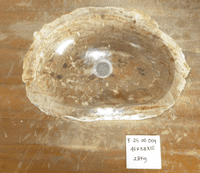 Lavish Petrified Wood Sink approx 46 cm x  38 cm  x 15 cm (Sink F.25.08.004)
