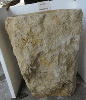 Magnificent Jurassic Onyx Fossilised  Free Standing Sink
