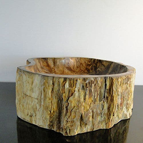 Petrified ( Fossilised ) Wood Bathroom Sink .