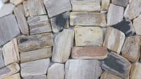Petrified Wood Mosaic Wall & Floor Mosaic Tiles only £ 89.99 per m2