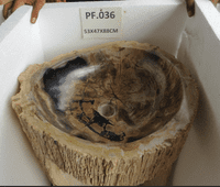 Primeval Petrified ( Fossilised) Wood Pedestal Sink (PF.036) @ approx W:53cm x D:47cm x H:88cm