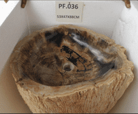 Primeval Petrified ( Fossilised) Wood Pedestal Sink (PF.036) @ approx W:53cm x D:47cm x H:88cm