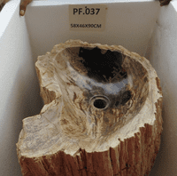 Primitive Petrified (Fossilised) Wood Pedestal Sink (PF.037) @ approx W:58cm x D:46cm x H:90 cm
