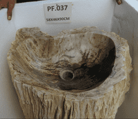 Primitive Petrified (Fossilised) Wood Pedestal Sink (PF.037) @ approx W:58cm x D:46cm x H:90 cm